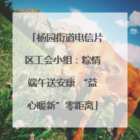 杨园街道电信片区工会小组：粽情端午送安康 “益心暖新”零距离
