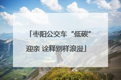 枣阳公交车“低碳”迎亲 诠释别样浪漫