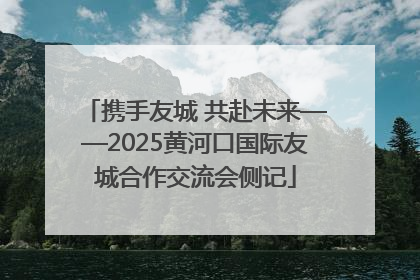携手友城 共赴未来——2025黄河口国际友城合作交流会侧记
