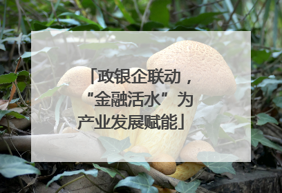 政银企联动，“金融活水”为产业发展赋能