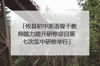 攸县初中英语骨干教师能力提升研修项目第七次集中研修举行