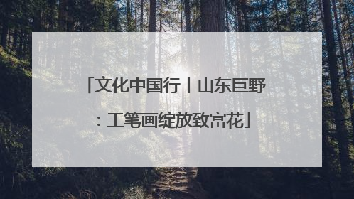 文化中国行丨山东巨野：工笔画绽放致富花