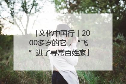文化中国行丨2000多岁的它，“飞”进了寻常百姓家