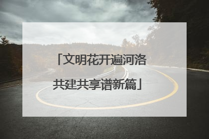 文明花开遍河洛 共建共享谱新篇