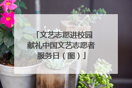 文艺志愿进校园 献礼中国文艺志愿者服务日（图）