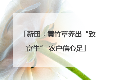 新田：黄竹草养出“致富牛” 农户信心足