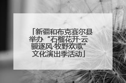 新疆和布克赛尔县举办“石榴花开·云骥逐风·牧野欢歌”文化演出季活动