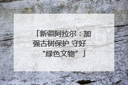 新疆阿拉尔：加强古树保护 守好“绿色文物”
