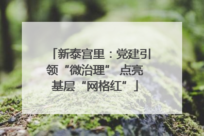 新泰宫里：党建引领“微治理” 点亮基层“网格红”