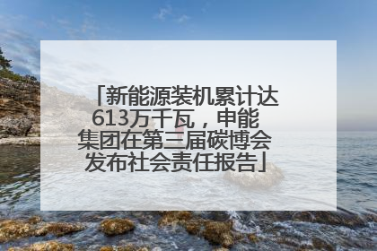 新能源装机累计达613万千瓦，申能集团在第三届碳博会发布社会责任报告