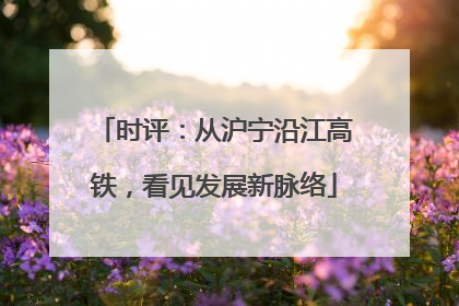 时评：从沪宁沿江高铁，看见发展新脉络