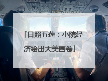 日照五莲：小院经济绘出大美画卷