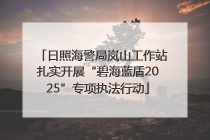 日照海警局岚山工作站扎实开展“碧海蓝盾2025”专项执法行动