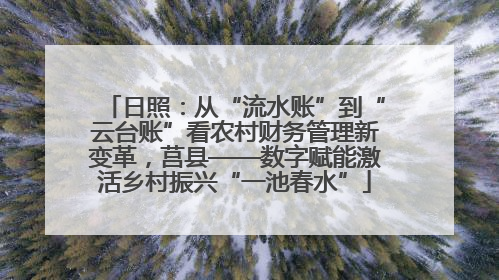 日照：从“流水账”到“云台账”看农村财务管理新变革，莒县——数字赋能激活乡村振兴“一池春水”