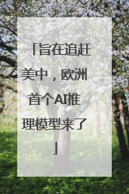 旨在追赶美中，欧洲首个AI推理模型来了