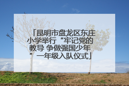 昆明市盘龙区东庄小学举行“牢记党的教导 争做强国少年”一年级入队仪式