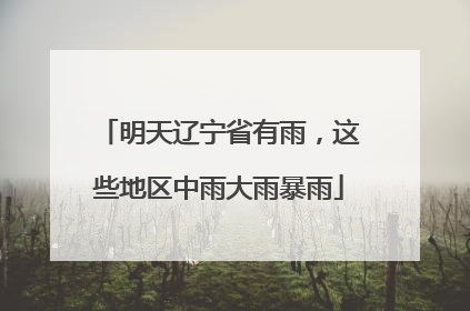 明天辽宁省有雨，这些地区中雨大雨暴雨