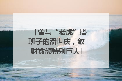 曾与“老虎”搭班子的潘世庆，敛财数额特别巨大