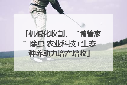 机械化收割、“鸭管家”除虫 农业科技+生态种养助力增产增收