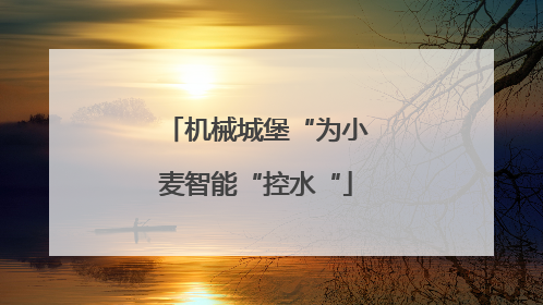 机械城堡“为小麦智能“控水“