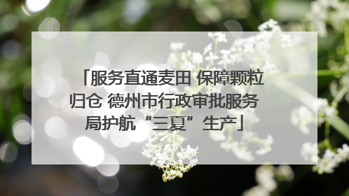 服务直通麦田 保障颗粒归仓 德州市行政审批服务局护航“三夏”生产