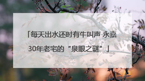 每天出水还时有牛叫声 永嘉30年老宅的“泉眼之谜”