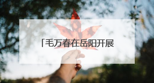 毛万春在岳阳开展专题调研 持续助推文科旅融合发展