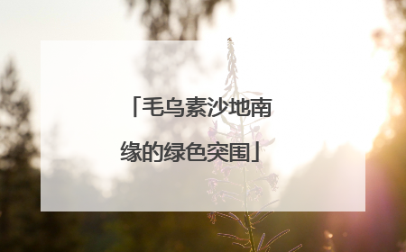 毛乌素沙地南缘的绿色突围