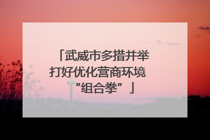 武威市多措并举打好优化营商环境“组合拳”