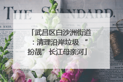 武昌区白沙洲街道：清理沿岸垃圾 “扮靓”长江母亲河
