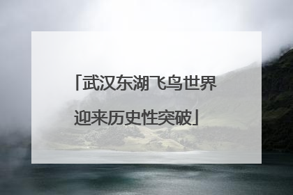武汉东湖飞鸟世界迎来历史性突破