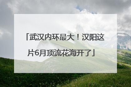 武汉内环最大！汉阳这片6月顶流花海开了