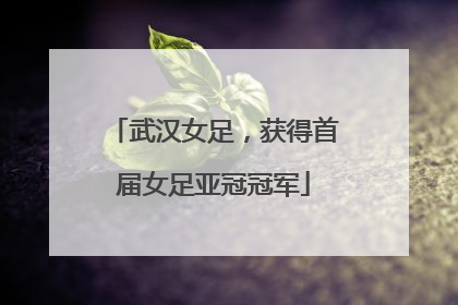 武汉女足，获得首届女足亚冠冠军