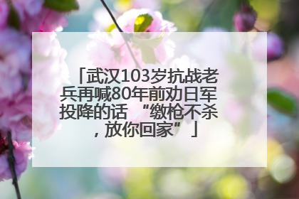 武汉103岁抗战老兵再喊80年前劝日军投降的话 “缴枪不杀，放你回家”