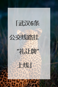 武汉6条公交线路挂“礼让牌”上线