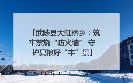武陟县大虹桥乡：筑牢禁烧“防火墙” 守护夏粮好“丰”景