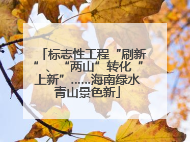 标志性工程“刷新”、“两山”转化“上新”……海南绿水青山景色新