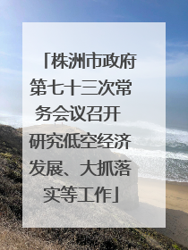 株洲市政府第七十三次常务会议召开 研究低空经济发展、大抓落实等工作