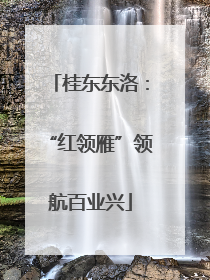 桂东东洛：“红领雁”领航百业兴