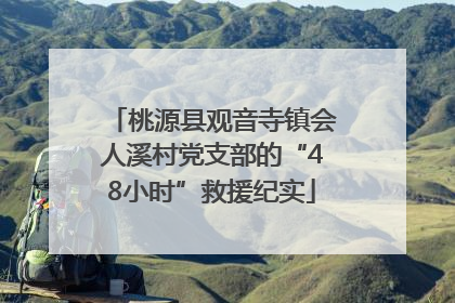 桃源县观音寺镇会人溪村党支部的“48小时”救援纪实