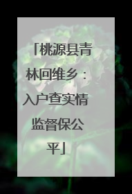桃源县青林回维乡：入户查实情 监督保公平