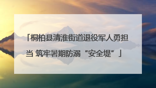 桐柏县清淮街道退役军人勇担当 筑牢暑期防溺“安全堤”