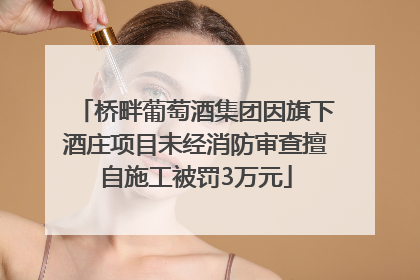 桥畔葡萄酒集团因旗下酒庄项目未经消防审查擅自施工被罚3万元