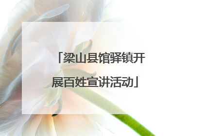 梁山县馆驿镇开展百姓宣讲活动
