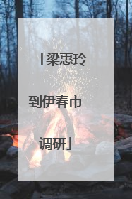 梁惠玲到伊春市调研