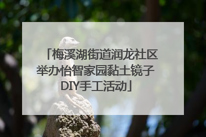梅溪湖街道润龙社区举办怡智家园黏土镜子DIY手工活动