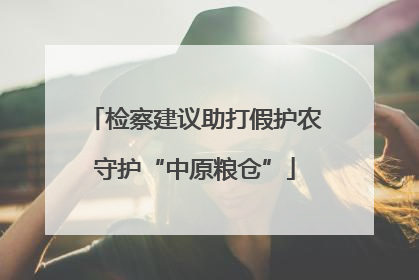 检察建议助打假护农守护“中原粮仓”