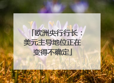 欧洲央行行长：美元主导地位正在变得不确定