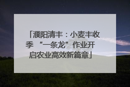 濮阳清丰：小麦丰收季 “一条龙”作业开启农业高效新篇章