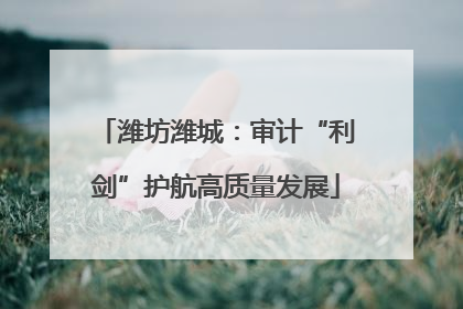 潍坊潍城：审计“利剑”护航高质量发展